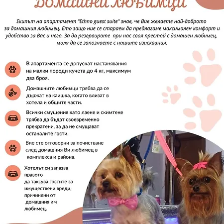 Lejlighed Ethno Guest