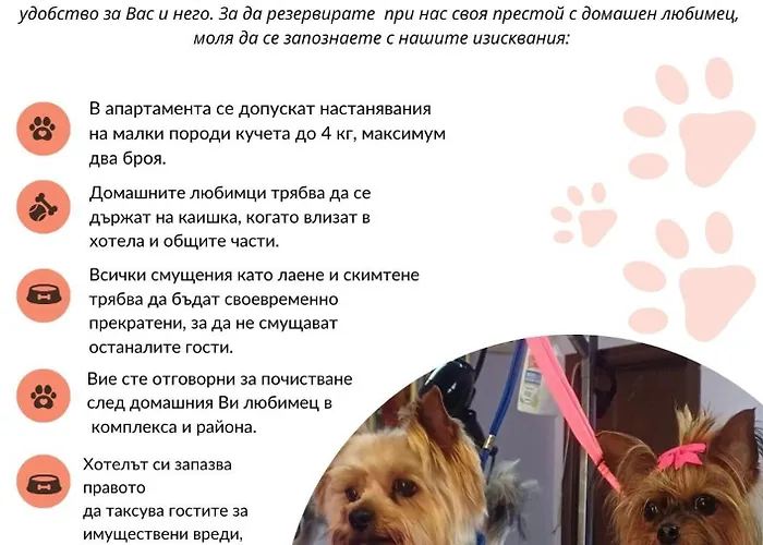 Apartment Ethno Guest